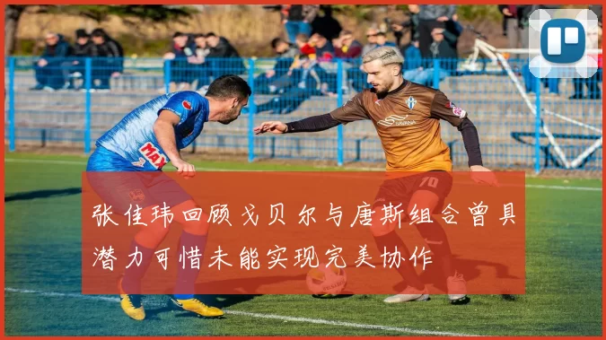 张佳玮回顾戈贝尔与唐斯组合曾具潜力可惜未能实现完美协作