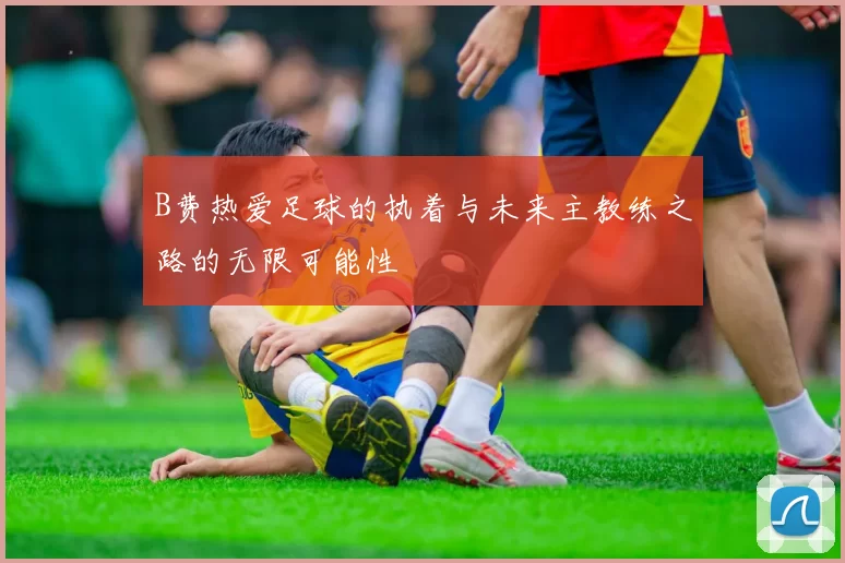 B费热爱足球的执着与未来主教练之路的无限可能性